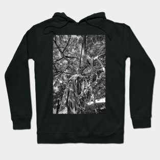 IM's Last Stand Study 1 Hoodie